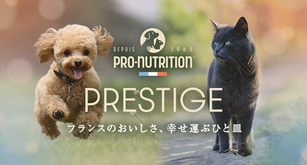 PRESTIGE