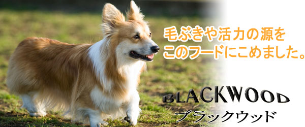 ブラックウッド