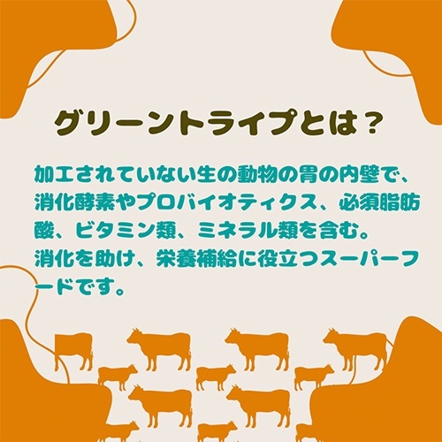 フロンティアペッツ