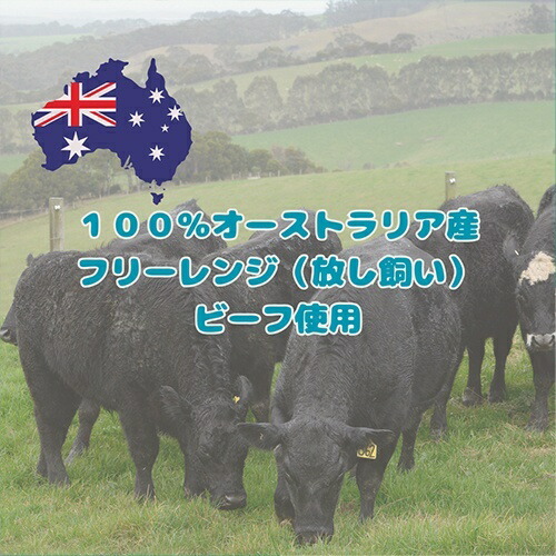 フロンティアペッツ