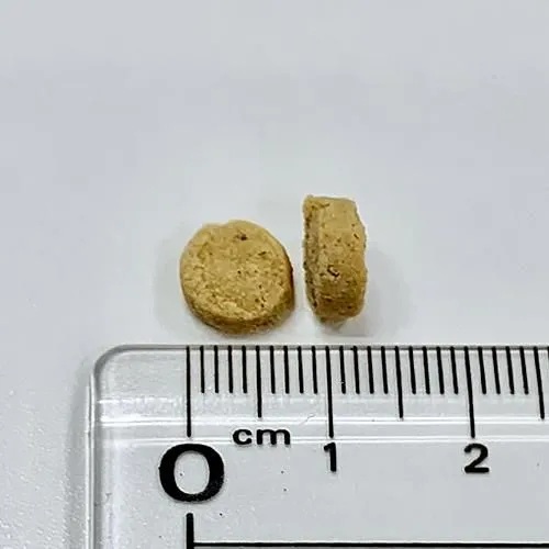 ホリスティックフードケア