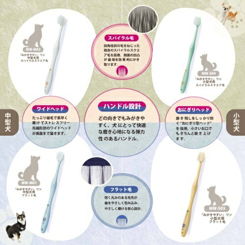 みがきやすいワン