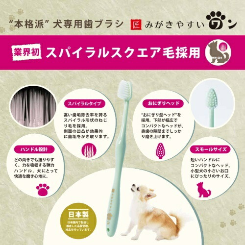 みがきやすいワン