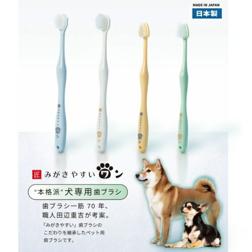 みがきやすいワン