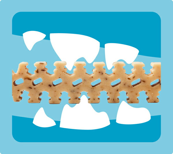 フォーキャンス