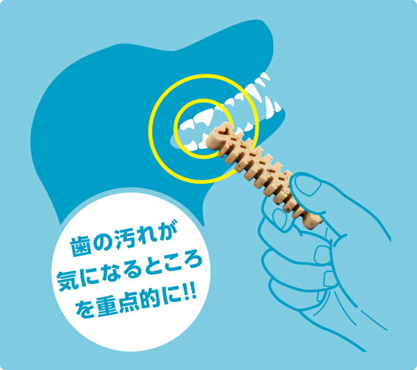 フォーキャンス