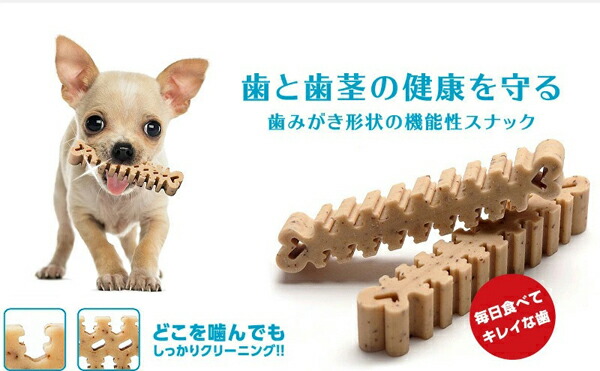 フォーキャンス