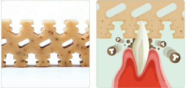 フォーキャンス