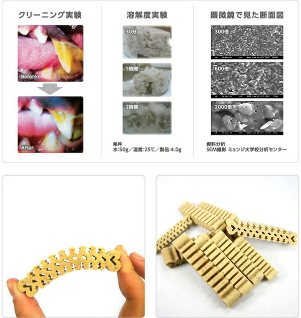 フォーキャンス