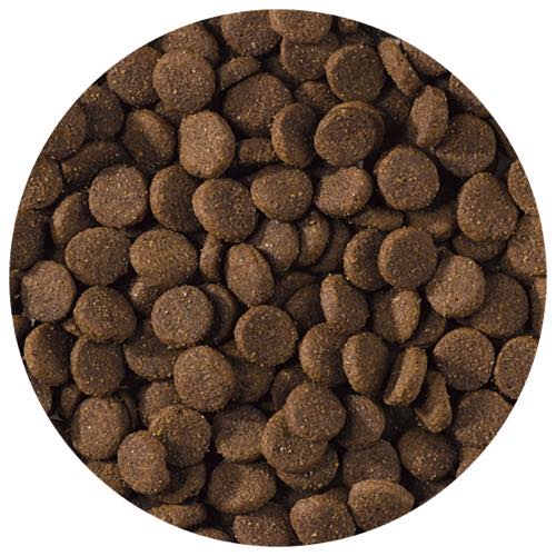 プレイアーデン