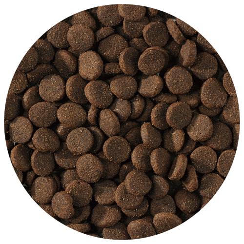 プレイアーデン