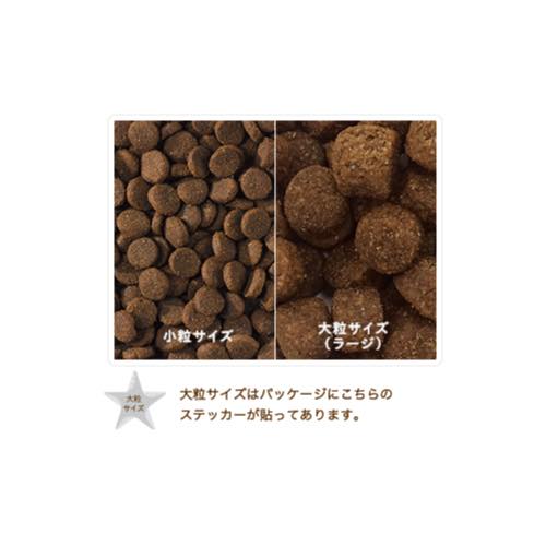 プレイアーデン