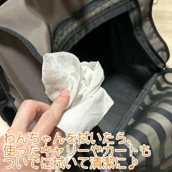 キンペックス