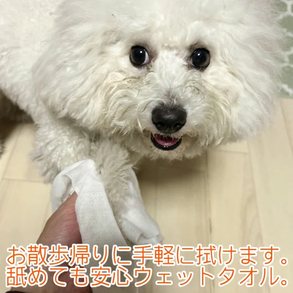 キンペックス
