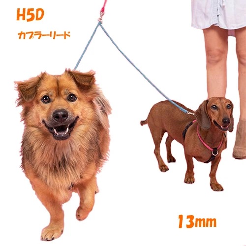 【HIGH 5 DOGS】  カプラーリード （13mm）