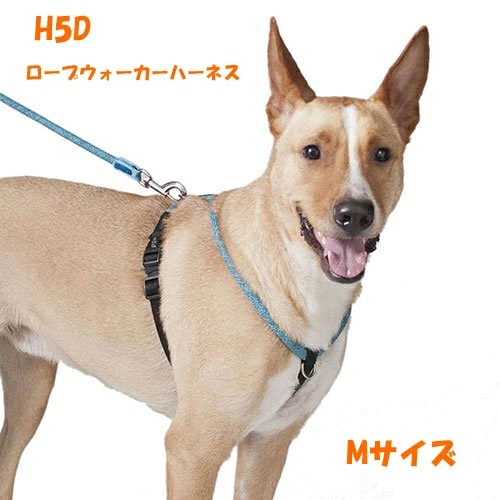 【H5D】 ロープウォーカーハーネス （Mサイズ）