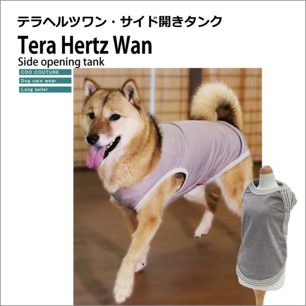 2013_terahertzwan_tk
