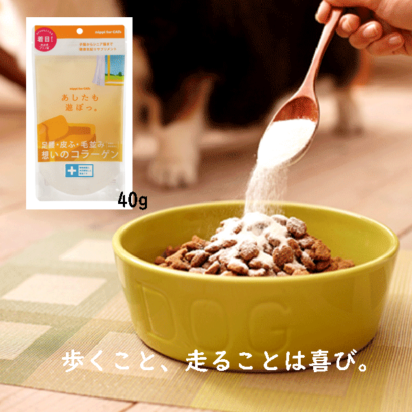 あしたも遊ぼっ。40g 牛由来コラーゲン 足腰 毛艶 コラーゲン ペプチド ニッピ  (猫用)