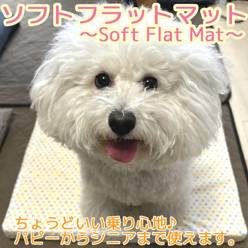 ソフトフラットマット 犬ベッド 安定 ふらつかない オールシーズン テラヘルツ 洗える