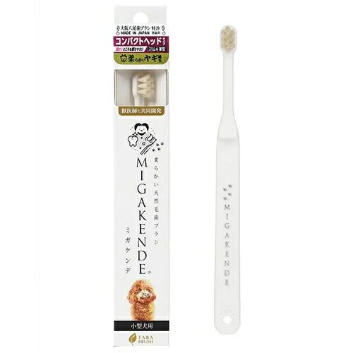【MIGAKENDE】ミガケンデ  柔らかい天然毛歯ブラシ　小型犬用　コンパクトヘッド