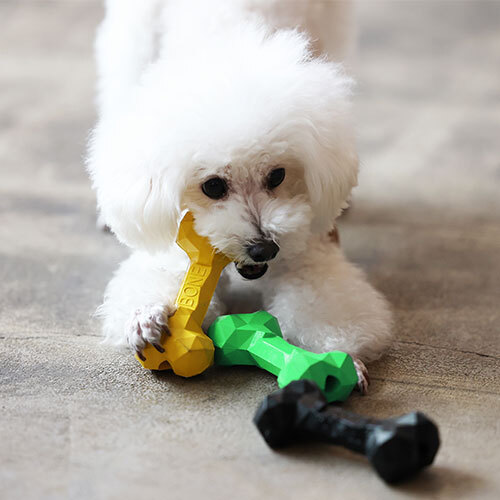 magnetペットおもちゃ