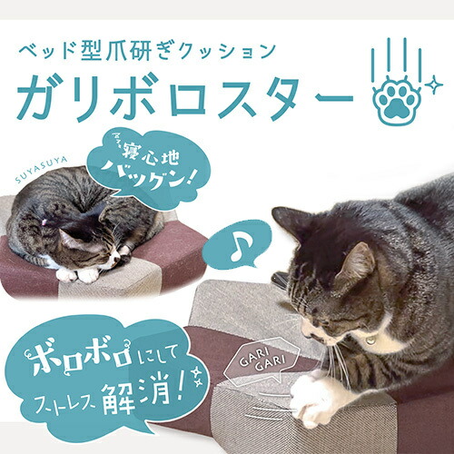 ガリぼろスター