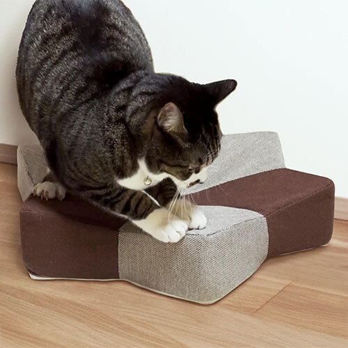 ガリぼろスター