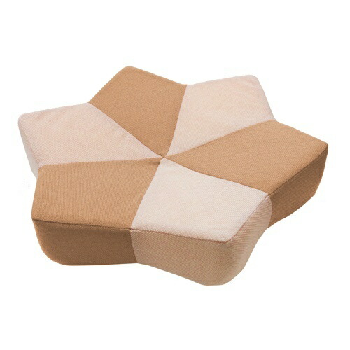 ガリぼろスター