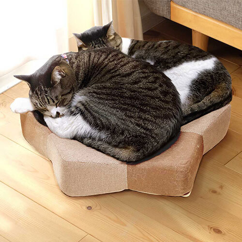 ガリぼろスター