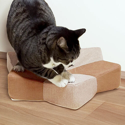 ガリぼろスター