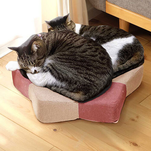 ガリぼろスター