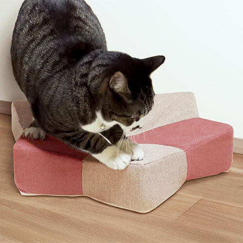 ガリぼろスター