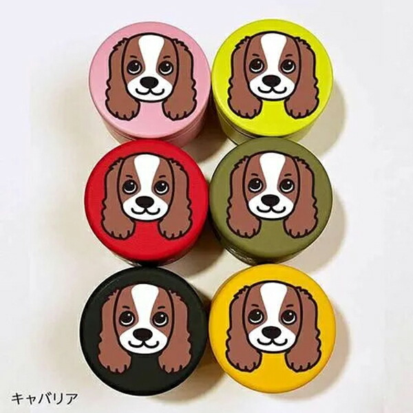 【D・O・G】 ディー・オー・ジー 　DOGプチ缶ケース　キャバリア　＜2種6色＞