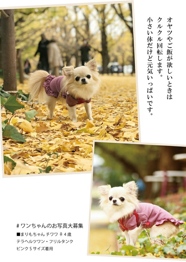 クークチュール