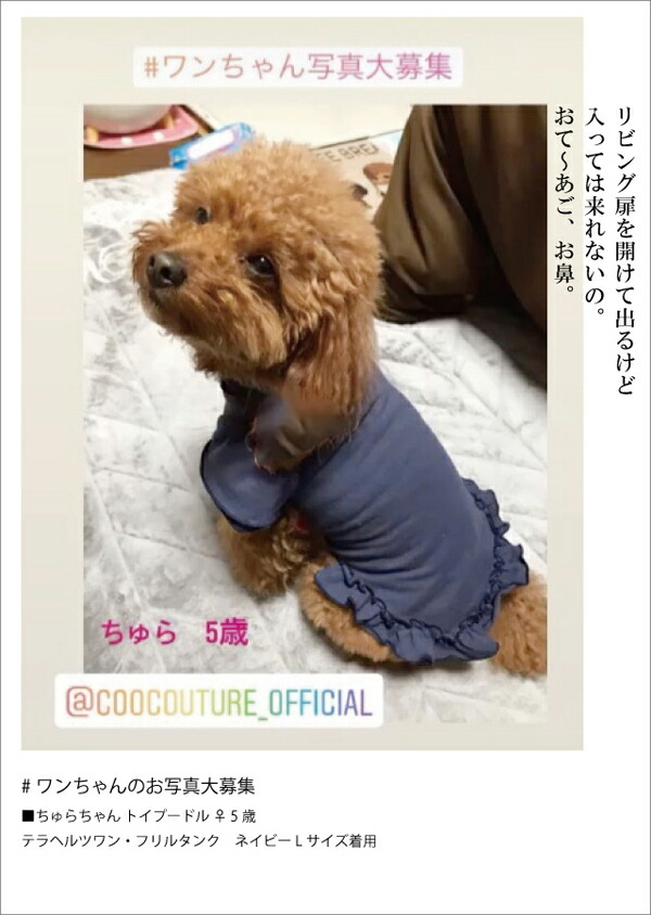 クークチュール