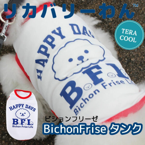 2026sp_tera_bichon_tk